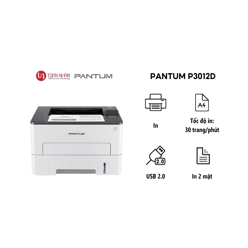 Máy In Pantum P3012D