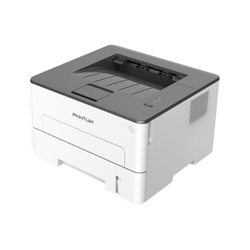 Máy In Pantum P3012D - Hình 3