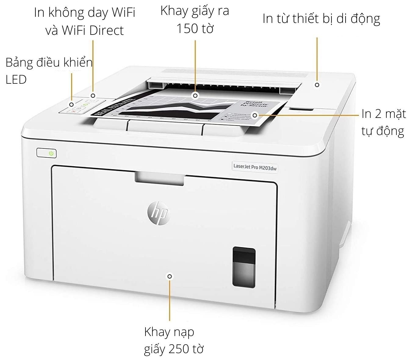 Máy in HP LaserJet Pro M203DW - Hình 7